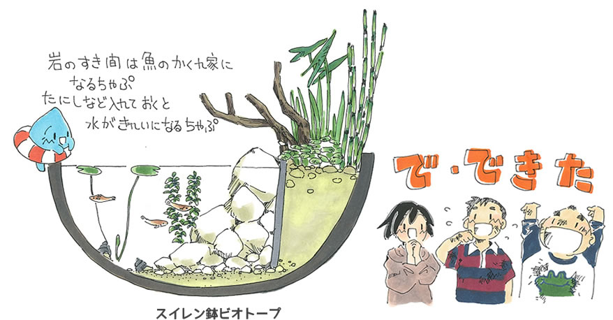 ビオトープ